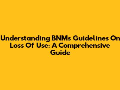 Understanding BNM's Guidelines On Loss Of Use: A Comprehensive Guide