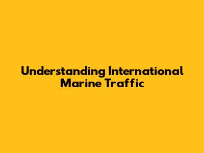 Understanding International Marine Traffic
