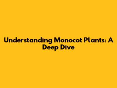 Understanding Monocot Plants: A Deep Dive