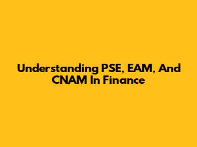 Understanding PSE, EAM, And CNAM In Finance