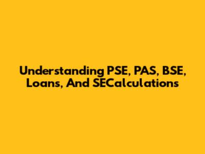 Understanding PSE, PAS, BSE, Loans, And SECalculations