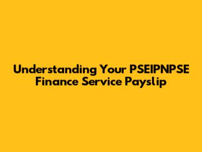 Understanding Your PSEIPNPSE Finance Service Payslip