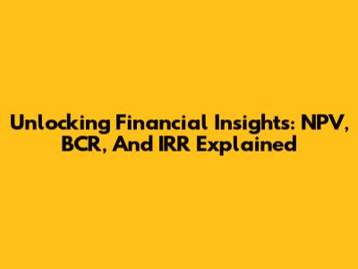 Unlocking Financial Insights: NPV, BCR, And IRR Explained