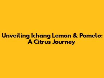 Unveiling Ichang Lemon & Pomelo: A Citrus Journey