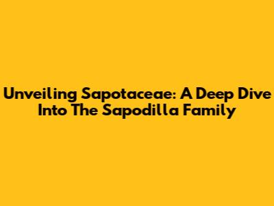 Unveiling Sapotaceae: A Deep Dive Into The Sapodilla Family