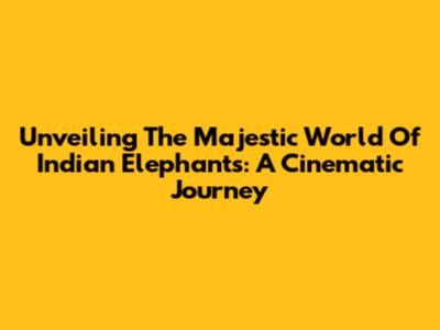 Unveiling The Majestic World Of Indian Elephants: A Cinematic Journey