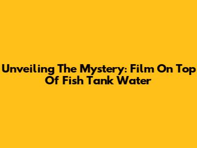 Unveiling The Mystery: Film On Top Of Fish Tank Water