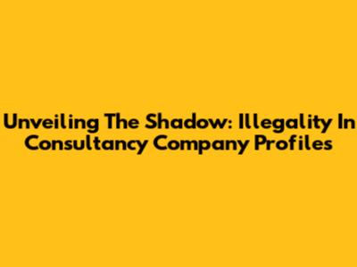 Unveiling The Shadow: Illegality In Consultancy Company Profiles