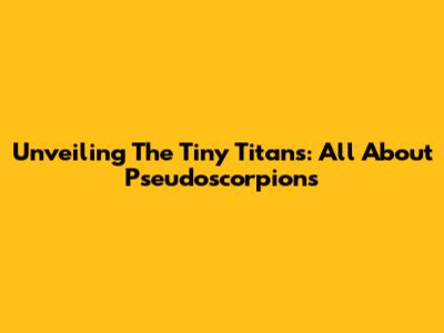 Unveiling The Tiny Titans: All About Pseudoscorpions