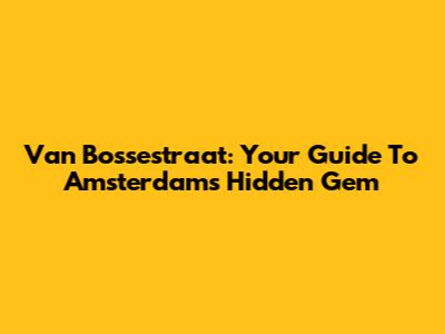 Van Bossestraat: Your Guide To Amsterdam's Hidden Gem
