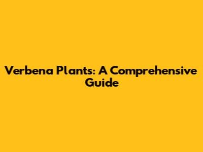 Verbena Plants: A Comprehensive Guide
