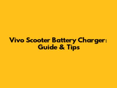 Vivo Scooter Battery Charger: Guide & Tips