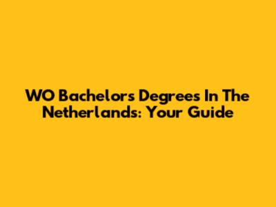 WO Bachelor's Degrees In The Netherlands: Your Guide