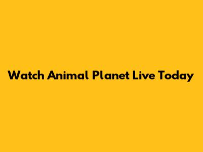 Watch Animal Planet Live Today