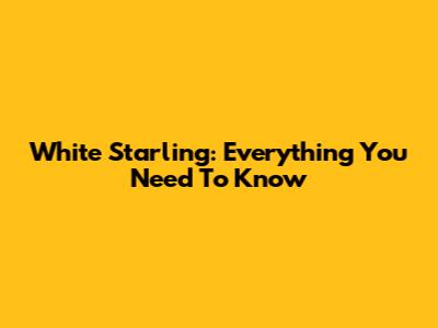 White Starling: Everything You Need To Know