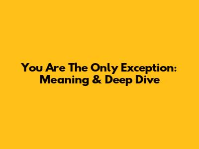 You Are The Only Exception: Meaning & Deep Dive