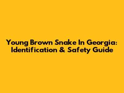 Young Brown Snake In Georgia: Identification & Safety Guide