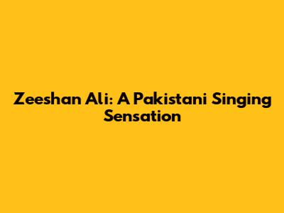 Zeeshan Ali: A Pakistani Singing Sensation