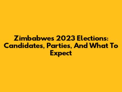 Zimbabwe's 2023 Elections: Candidates, Parties, And What To Expect